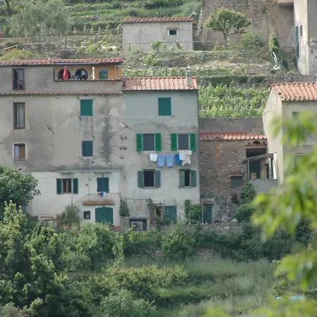 Apartment Casa Ferrini